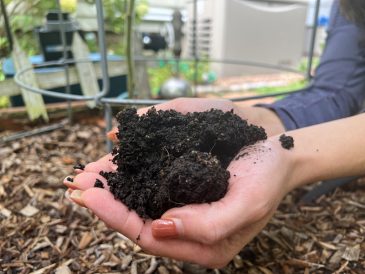 article image - Gardening-Soil Health